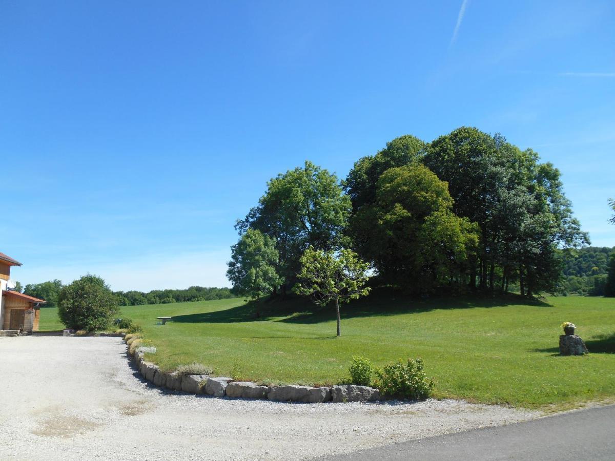 Sancier Gite Au Calme Grand Terrain Circuit Cascades Du Herisson Saugeot 외부 사진